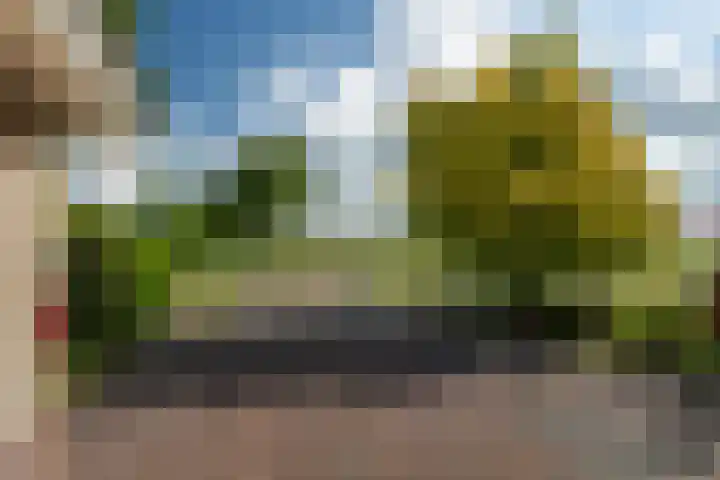 De Homeie 1 Wommels thumbnail 46