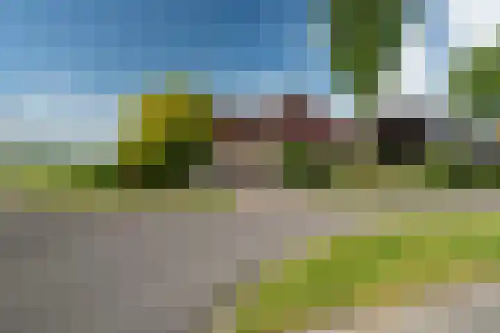 De Homeie 1 Wommels thumbnail 47