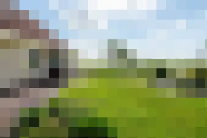De Homeie 1 Wommels thumbnail 48