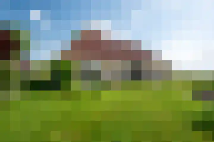 De Homeie 1 Wommels thumbnail 49