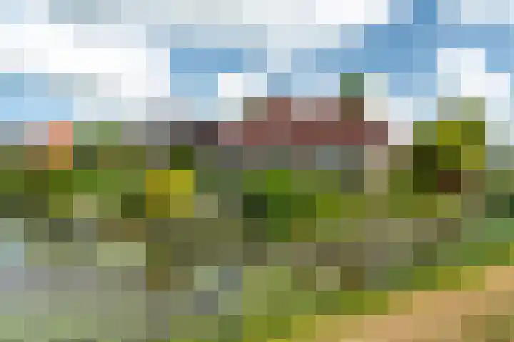De Homeie 1 Wommels thumbnail 5