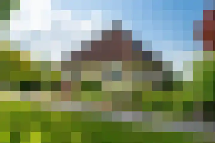 De Homeie 1 Wommels thumbnail 50