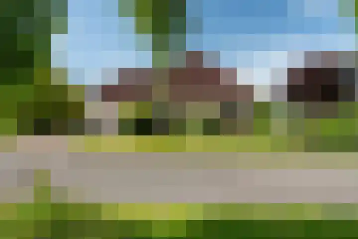 De Homeie 1 Wommels thumbnail 51