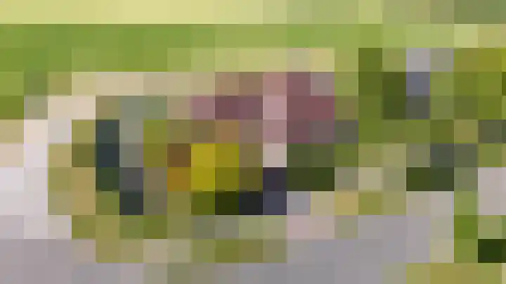 De Homeie 1 Wommels thumbnail 53