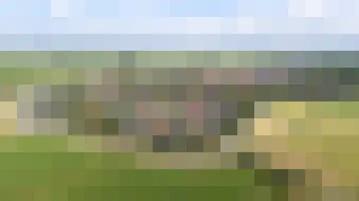 De Homeie 1 Wommels thumbnail 54
