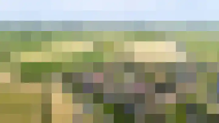 De Homeie 1 Wommels thumbnail 55