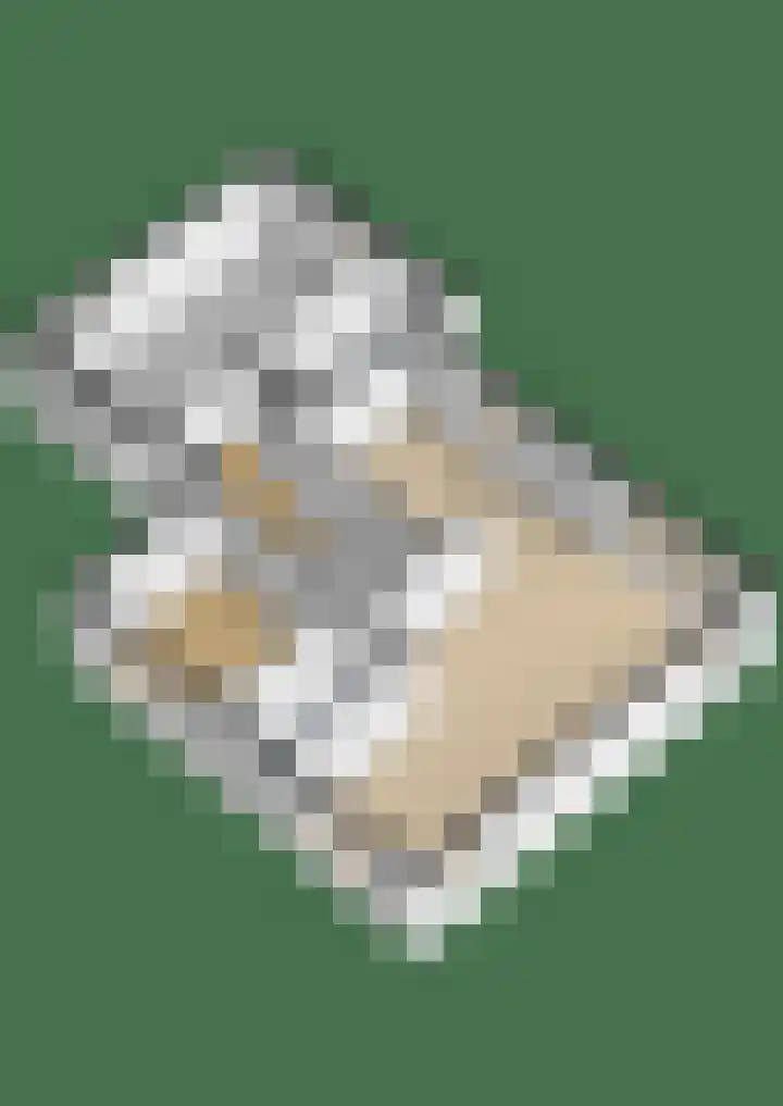 De Homeie 1 Wommels thumbnail 57