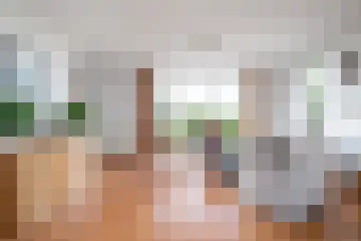 De Homeie 1 Wommels thumbnail 6
