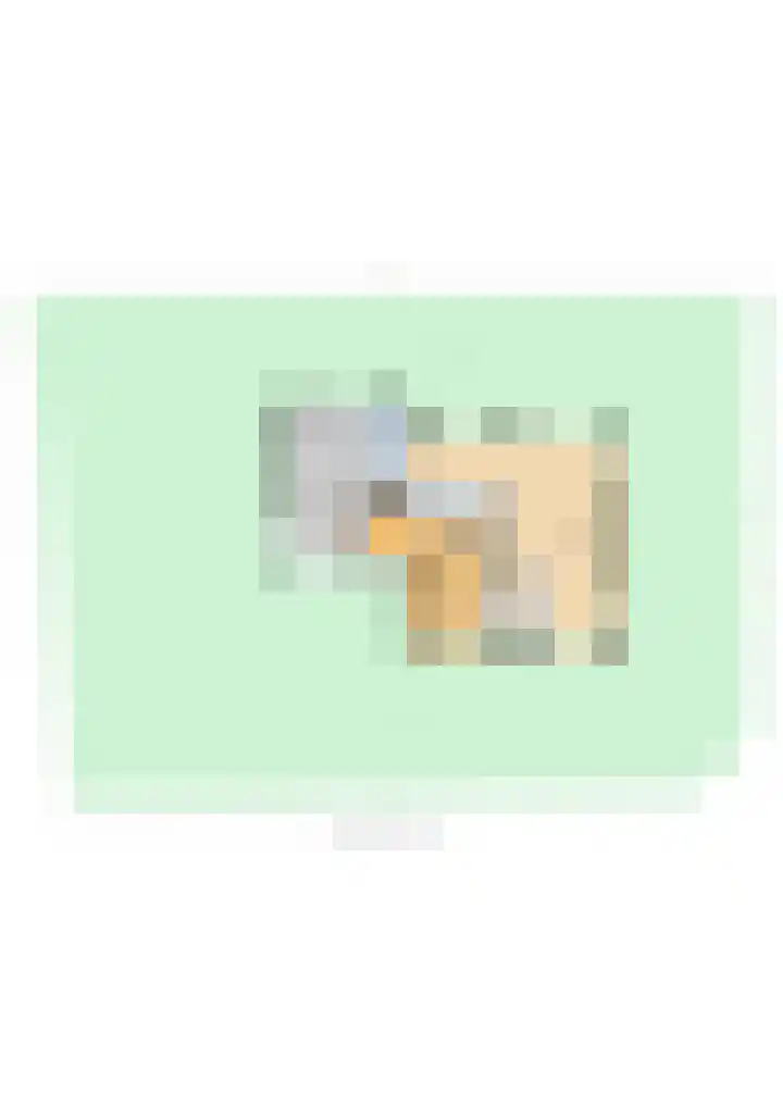 De Homeie 1 Wommels thumbnail 62