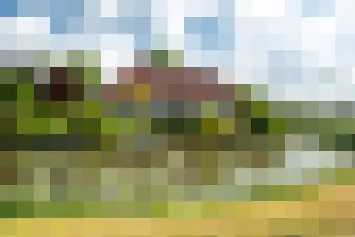 De Homeie 1 Wommels thumbnail 64