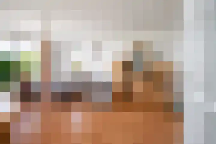 De Homeie 1 Wommels thumbnail 7