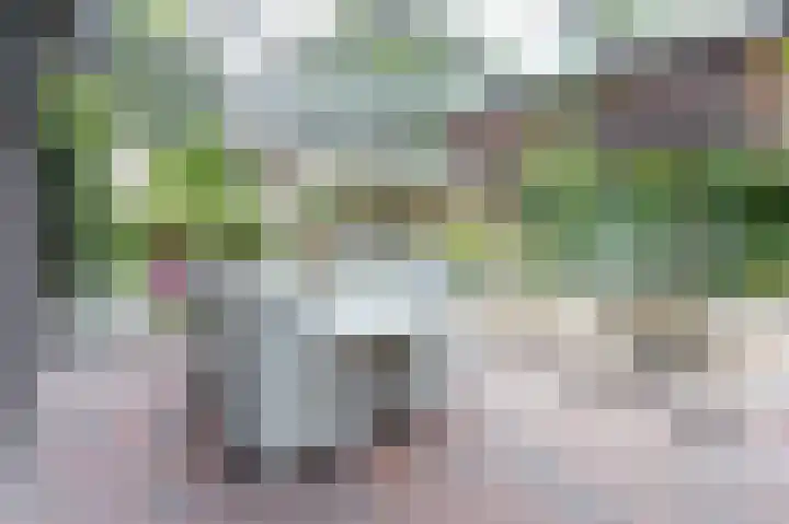 De Hommel 40 Leersum thumbnail 12