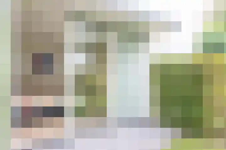 De Hommel 40 Leersum thumbnail 19