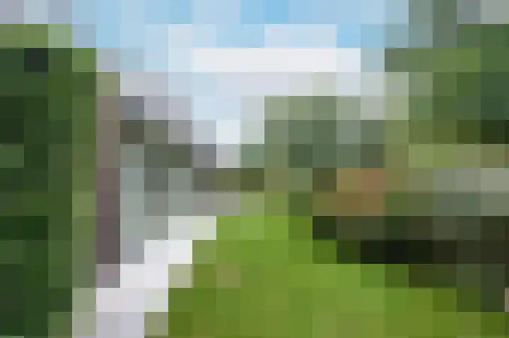 De Hommel 40 Leersum thumbnail 26