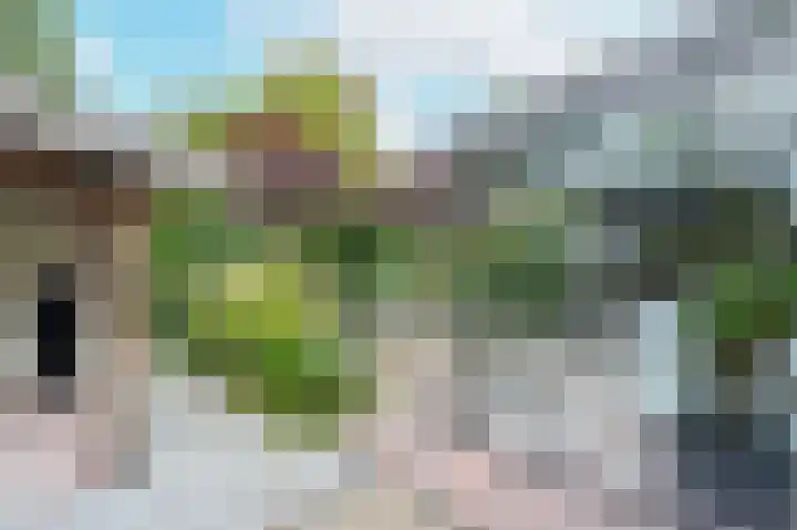 De Hommel 40 Leersum thumbnail 27