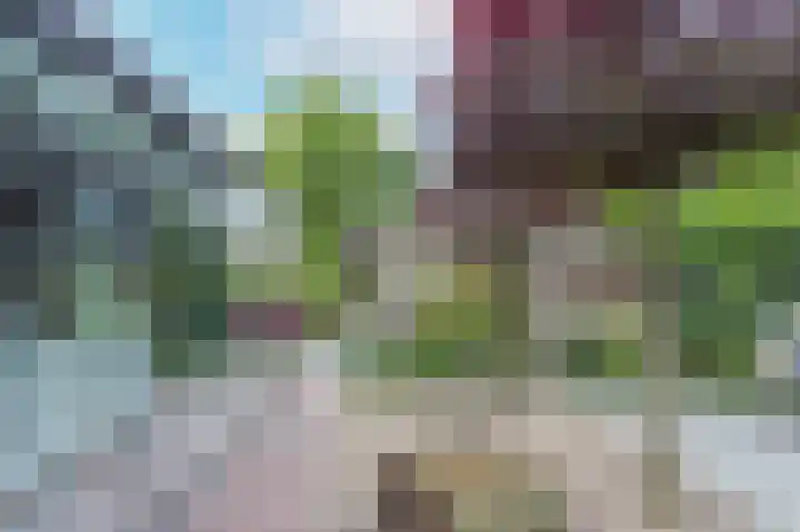 De Hommel 40 Leersum thumbnail 28