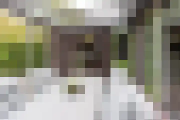 De Hommel 40 Leersum thumbnail 29