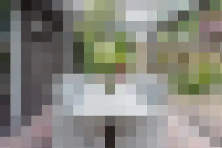 De Hommel 40 Leersum thumbnail 30