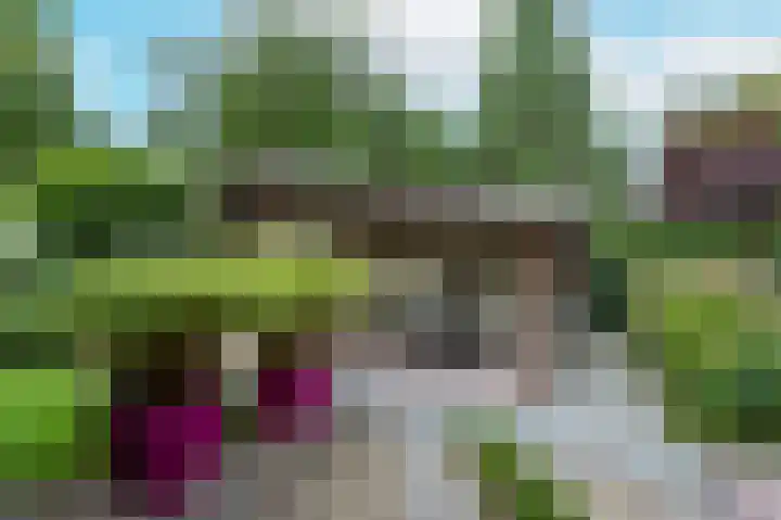 De Hommel 40 Leersum thumbnail 31