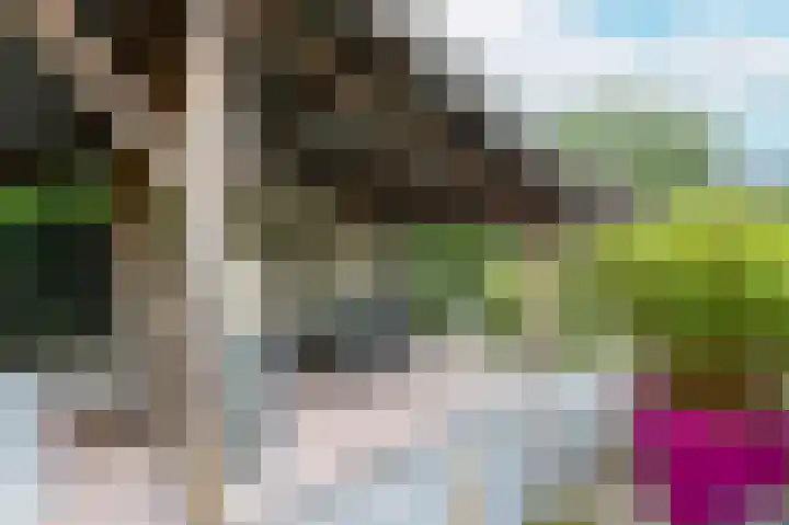 De Hommel 40 Leersum thumbnail 33