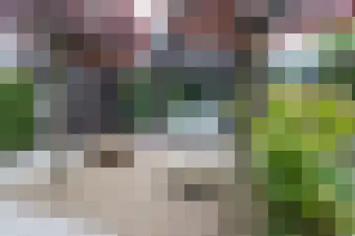 De Hommel 40 Leersum thumbnail 7