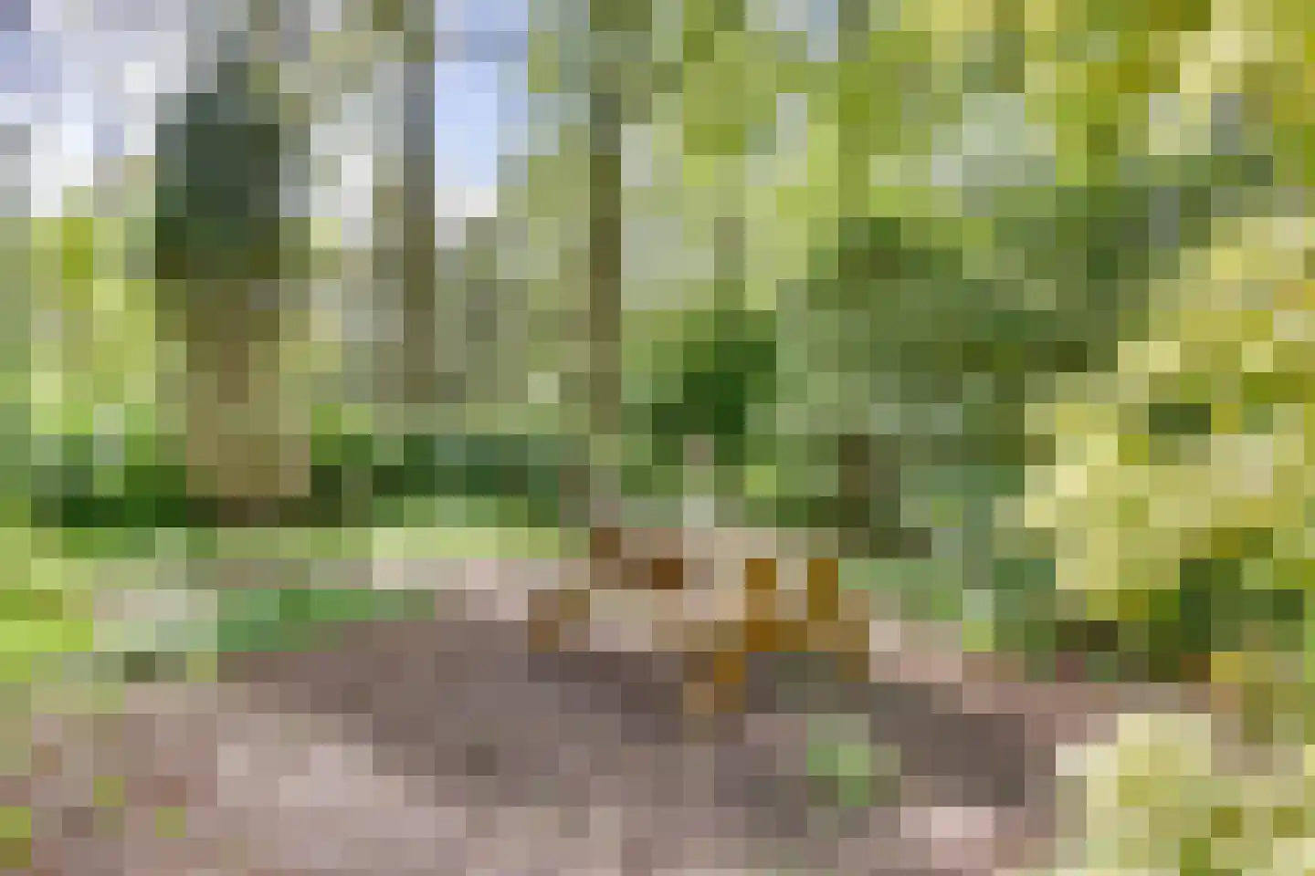 de Hongerige Wolf 100 Stegeren thumbnail 23
