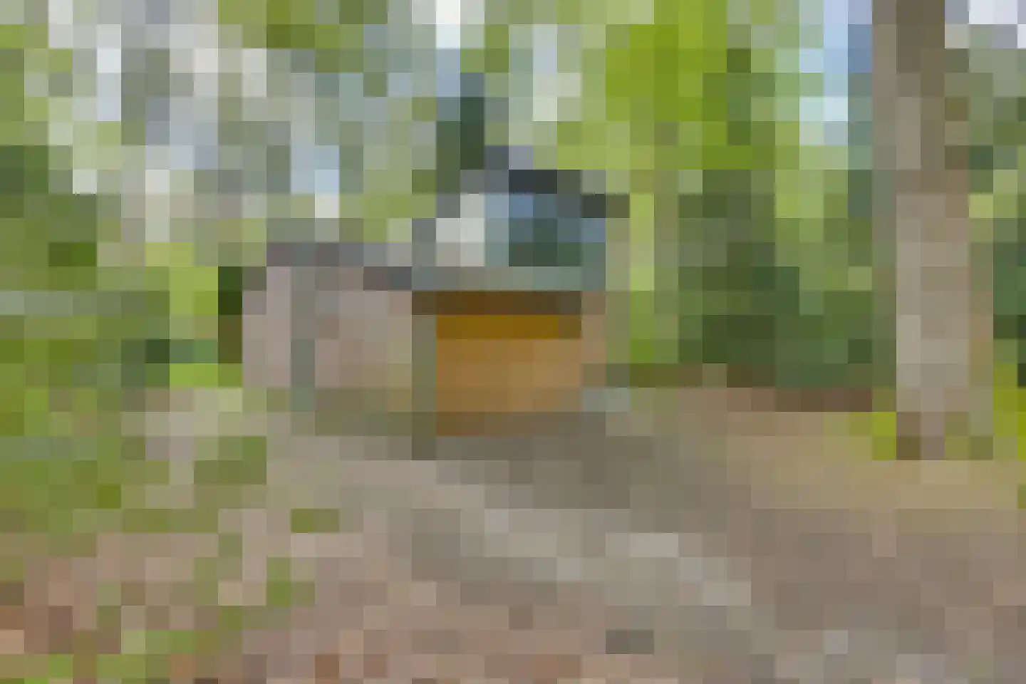 de Hongerige Wolf 100 Stegeren thumbnail 5