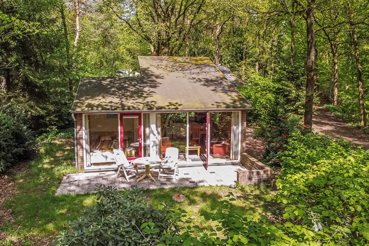 de Hongerige Wolf 26 in Stegeren Foto