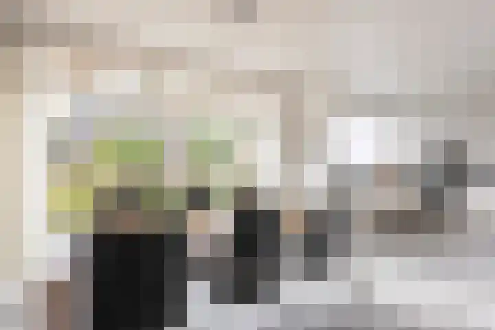 De Hoof 1 Heerlen thumbnail 10