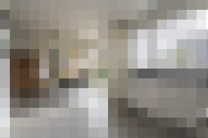 De Hoof 1 Heerlen thumbnail 12