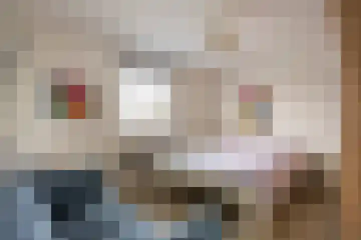 De Hoof 1 Heerlen thumbnail 17