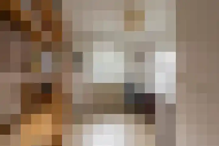 De Hoof 1 Heerlen thumbnail 18