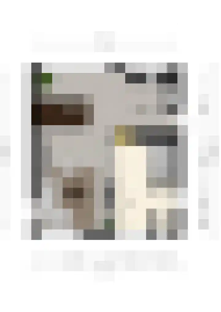 De Hoof 1 Heerlen thumbnail 33