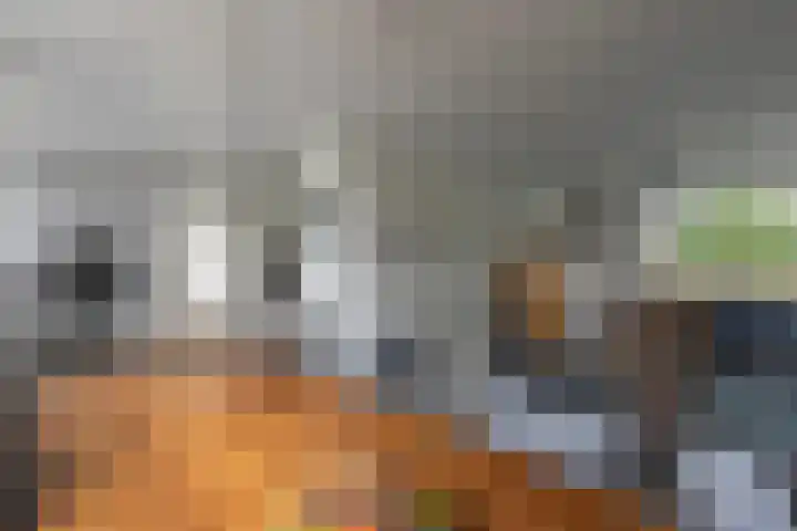 De Hoof 1 Heerlen thumbnail 9