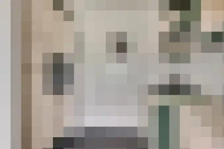 De Hoof 11 Swalmen thumbnail 10