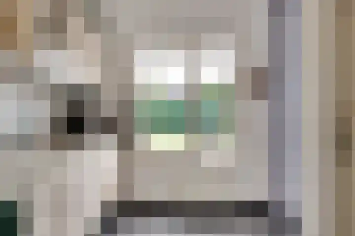 De Hoof 11 Swalmen thumbnail 11