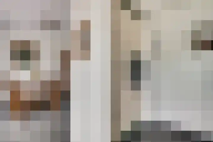 De Hoof 11 Swalmen thumbnail 12