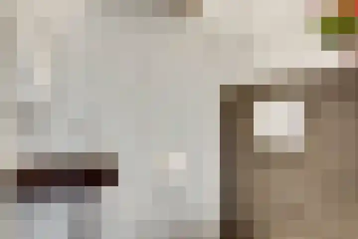 De Hoof 11 Swalmen thumbnail 15