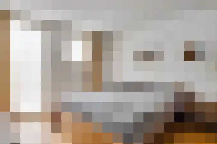 De Hoof 11 Swalmen thumbnail 16