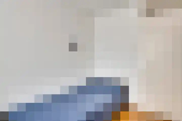 De Hoof 11 Swalmen thumbnail 19