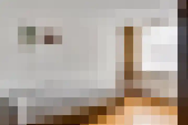 De Hoof 11 Swalmen thumbnail 20