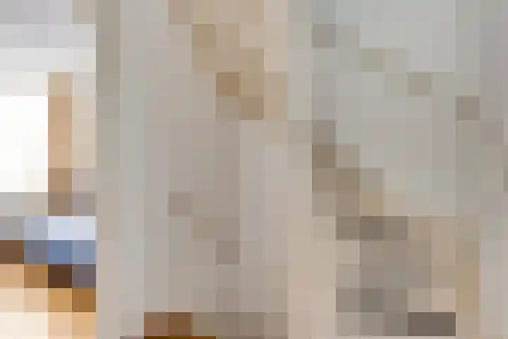 De Hoof 11 Swalmen thumbnail 25
