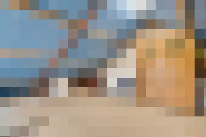 De Hoof 11 Swalmen thumbnail 26