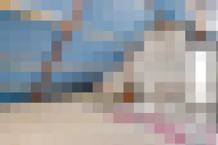 De Hoof 11 Swalmen thumbnail 27