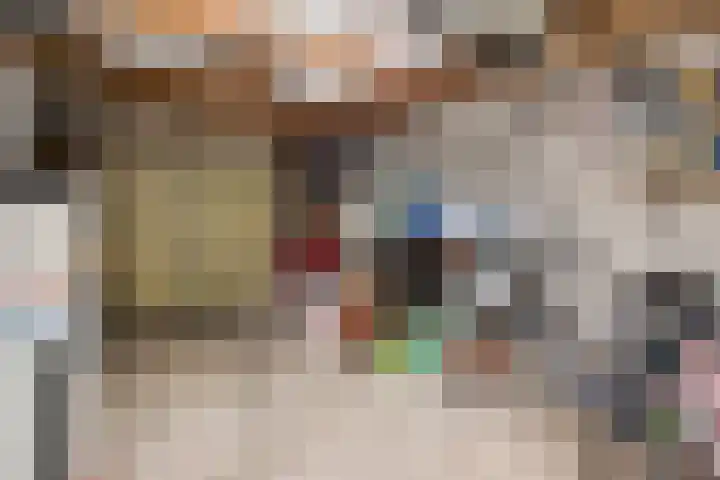 De Hoof 11 Swalmen thumbnail 28