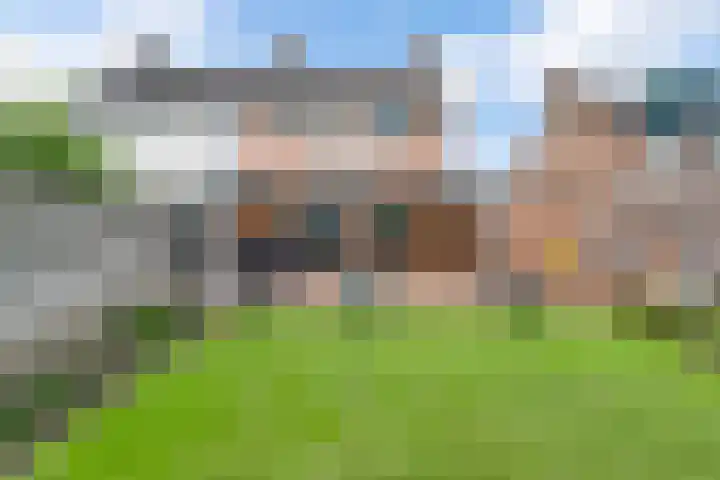 De Hoof 11 Swalmen thumbnail 29