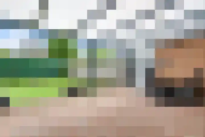 De Hoof 11 Swalmen thumbnail 30