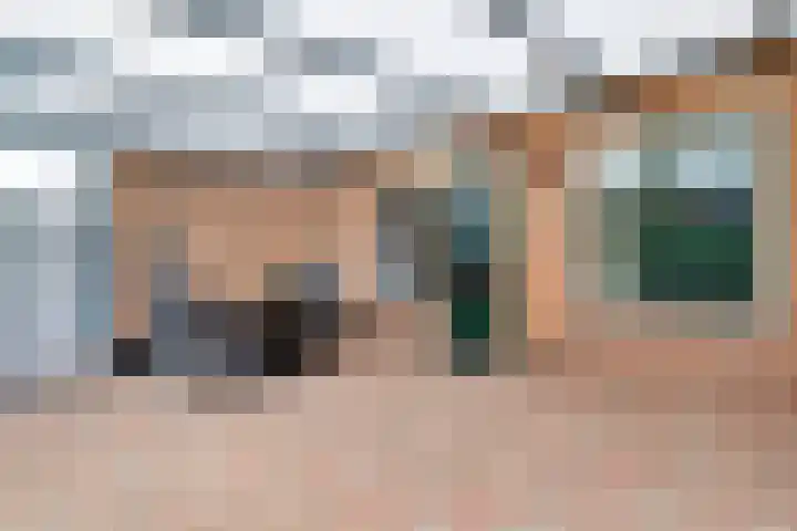 De Hoof 11 Swalmen thumbnail 31