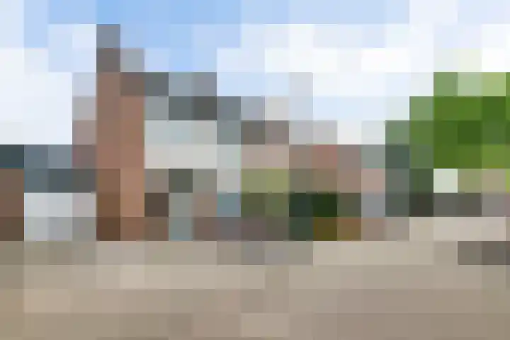 De Hoof 11 Swalmen thumbnail 35