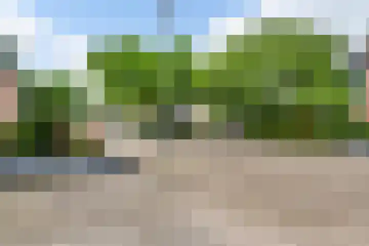 De Hoof 11 Swalmen thumbnail 37